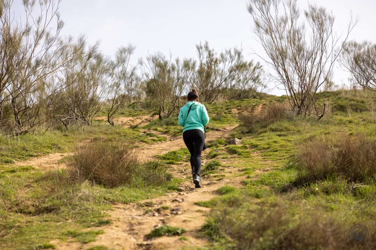 Ruta a las Cárcavas de Pontón de la Oliva