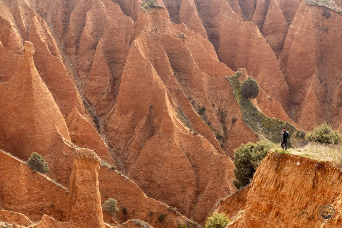 Ruta a las Cárcavas de Pontón de la Oliva