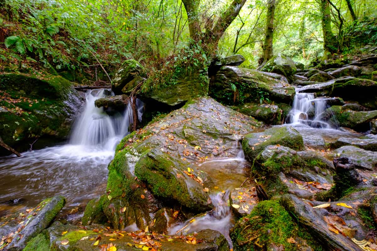 Fragas do Eume: Ruínas do Muíño de Sesín