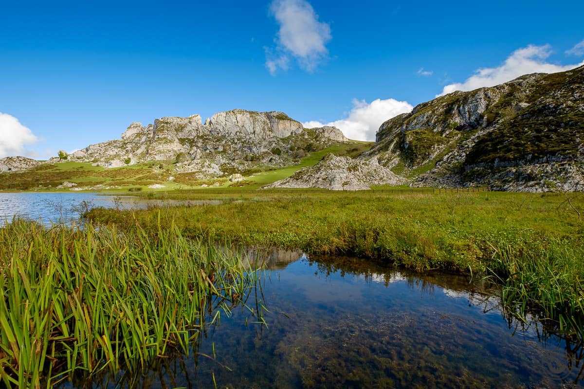 Los Lagos de Covadonga: Lago de La Ercina