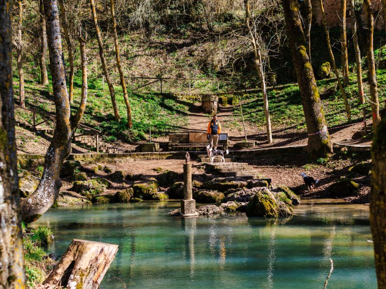 Paseo por el nacimiento del río Ebro en Fontibre | 2025